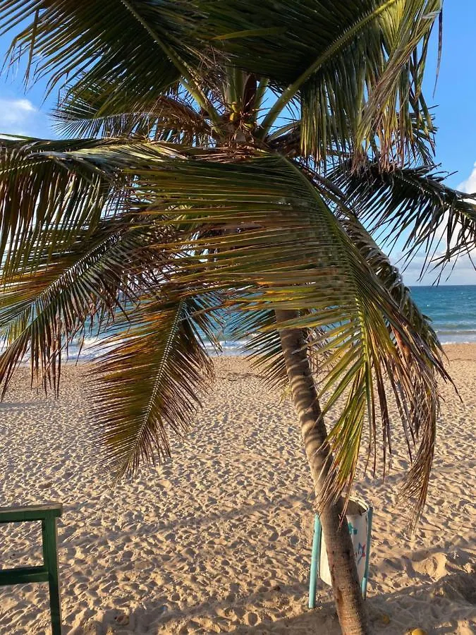 Cozy Beach Apartment Luquillo